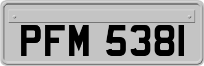 PFM5381