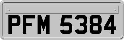 PFM5384