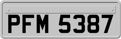 PFM5387