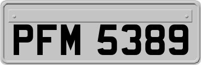 PFM5389