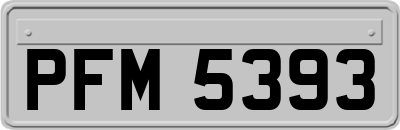 PFM5393