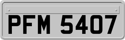 PFM5407