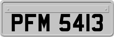 PFM5413