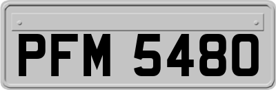 PFM5480