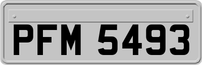 PFM5493
