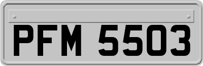 PFM5503