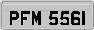 PFM5561