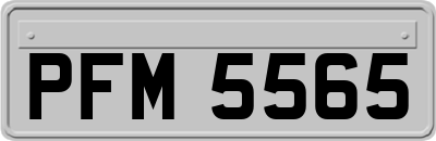 PFM5565