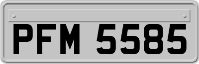 PFM5585