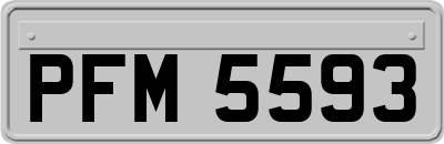 PFM5593