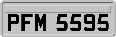 PFM5595