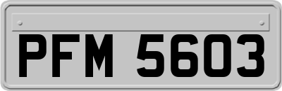 PFM5603