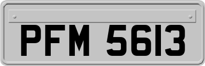 PFM5613