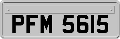 PFM5615