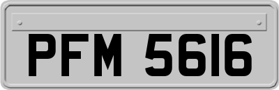 PFM5616