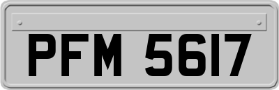 PFM5617
