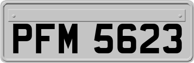 PFM5623