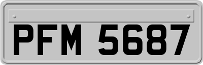 PFM5687