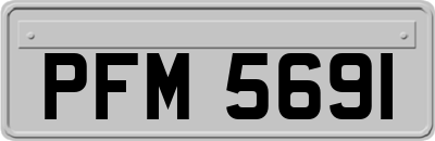 PFM5691