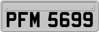 PFM5699
