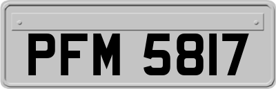PFM5817
