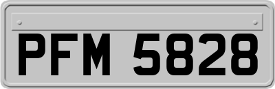 PFM5828