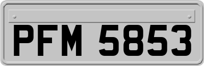 PFM5853