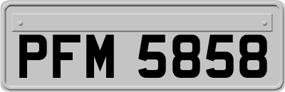 PFM5858