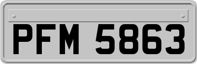 PFM5863