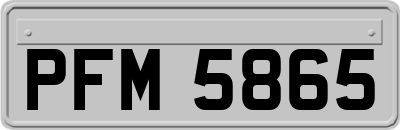 PFM5865