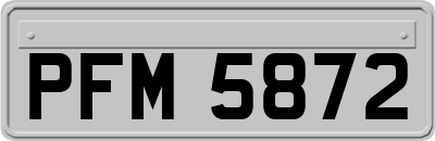 PFM5872
