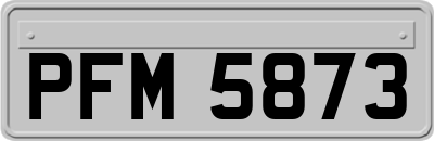 PFM5873