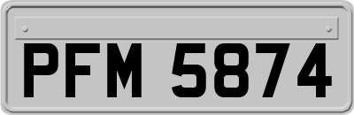 PFM5874