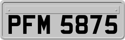 PFM5875