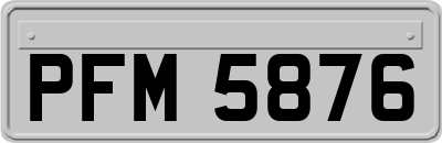 PFM5876