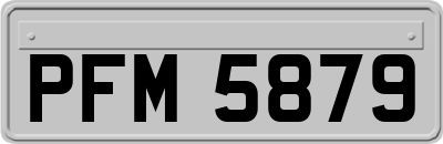 PFM5879