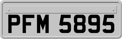 PFM5895