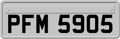 PFM5905