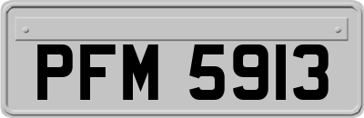 PFM5913