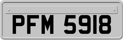 PFM5918
