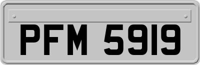 PFM5919