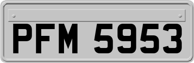 PFM5953