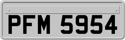 PFM5954