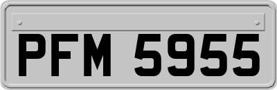 PFM5955