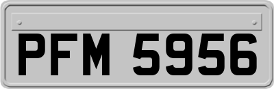 PFM5956