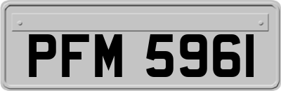 PFM5961