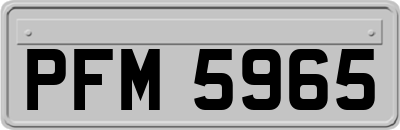 PFM5965