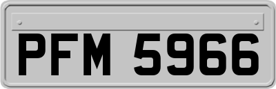 PFM5966
