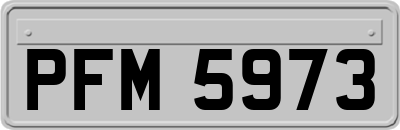 PFM5973