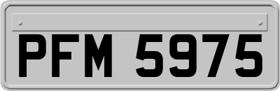 PFM5975